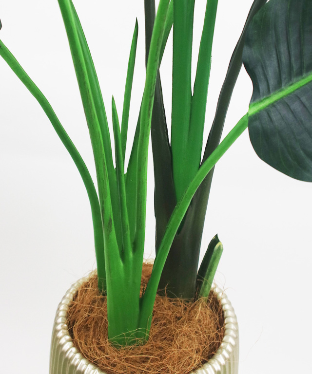 オーガスタ アーティフィシャルグリーン 観葉植物 ギフト プレゼント