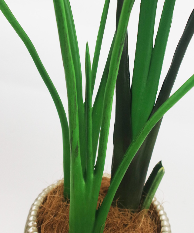オーガスタ アーティフィシャルグリーン 観葉植物 ギフト プレゼント