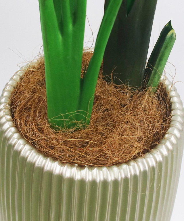 オーガスタ アーティフィシャルグリーン 観葉植物 ギフト プレゼント