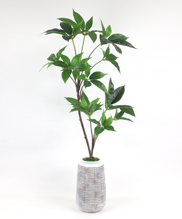 観葉植物 ツピタンサス アーティフィシャルグリーン ギフト お祝い