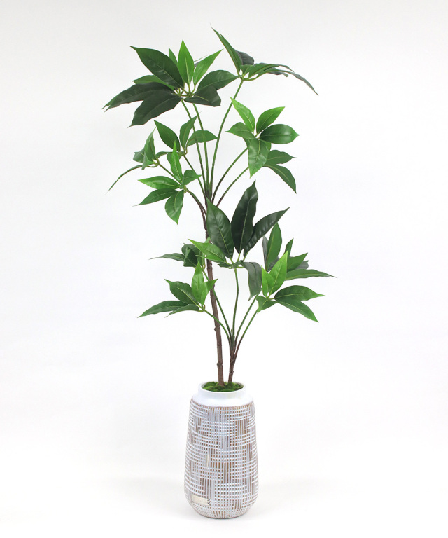 観葉植物 ツピタンサス アーティフィシャルグリーン ギフト お祝い