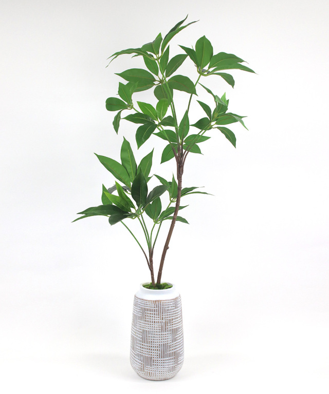 観葉植物 ツピタンサス アーティフィシャルグリーン ギフト お祝い