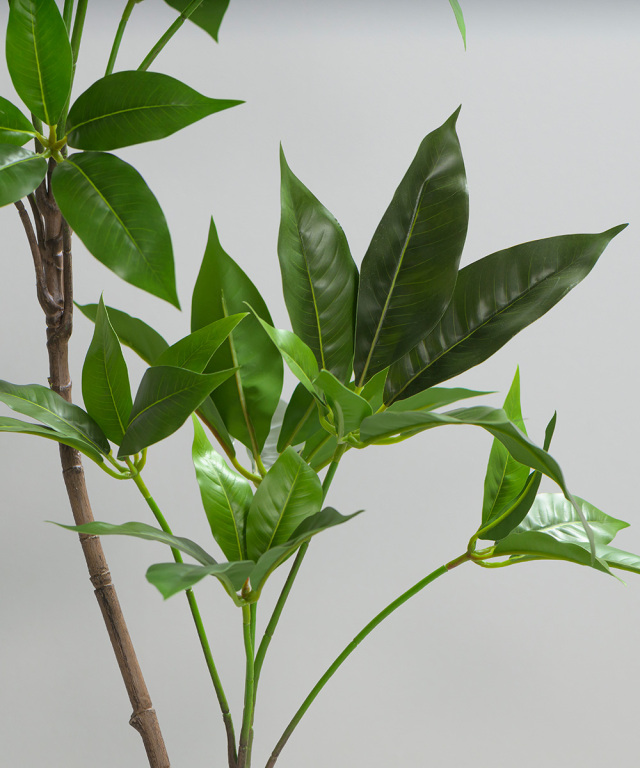 観葉植物 ツピタンサス アーティフィシャルグリーン ギフト お祝い