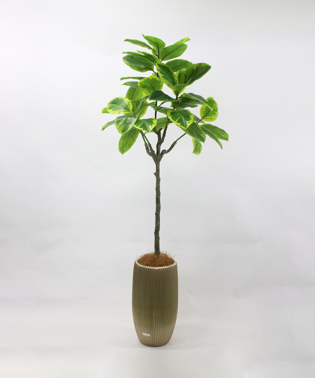 アルテシーマ アーティフィシャルグリーン 観葉植物 ギフト プレゼント