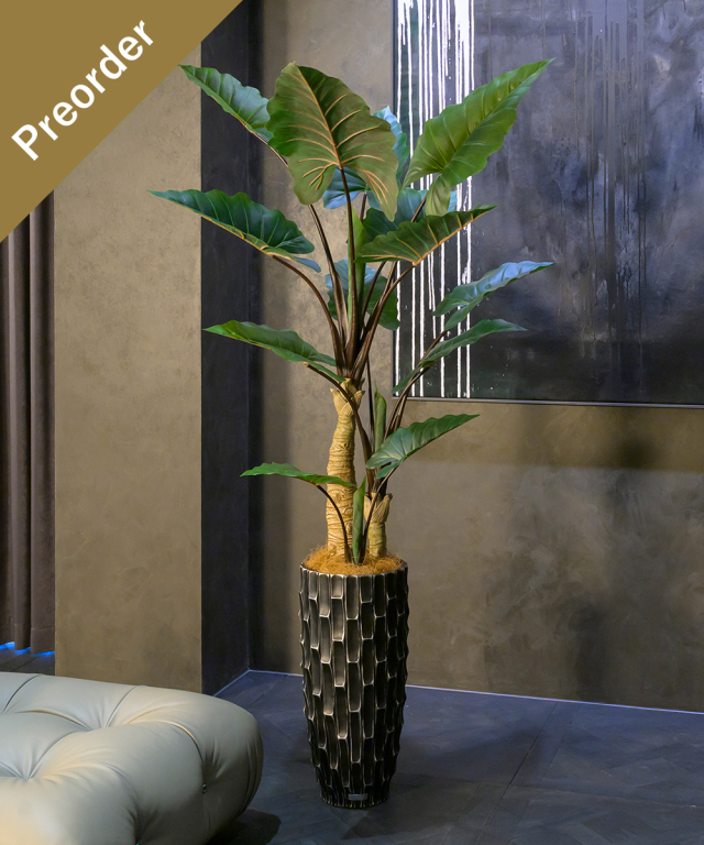 エミリオ・ロバ（アートフラワー）