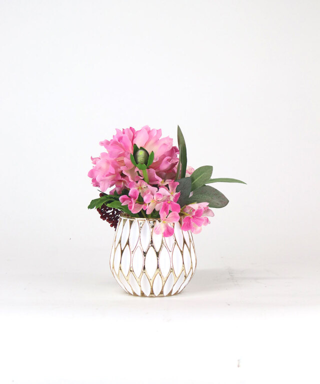 モロッコラナンキュラスM25