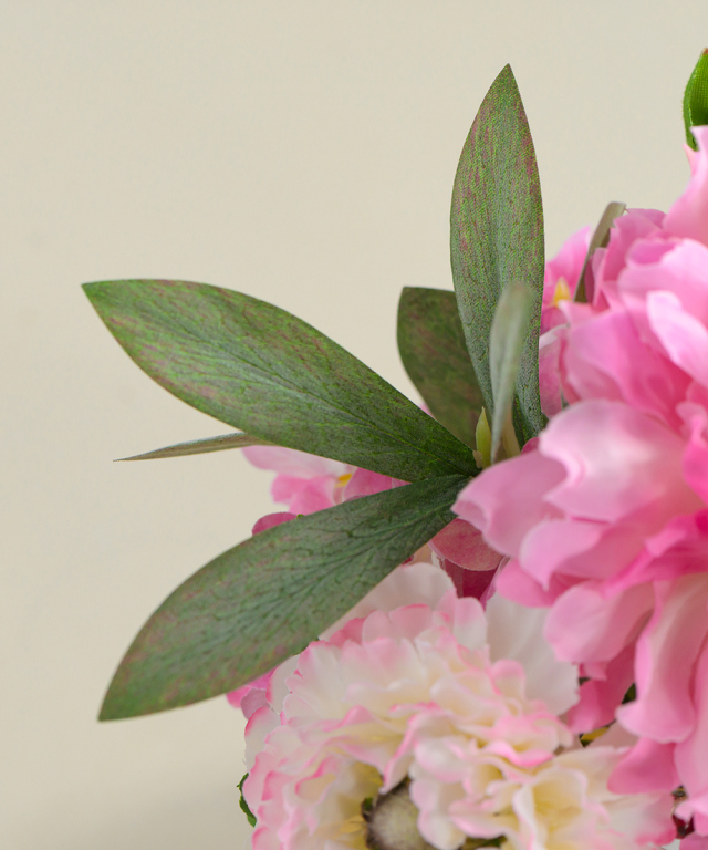 モロッコラナンキュラスM25