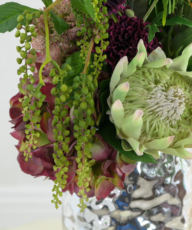 プロテア スサラ 4 最新品種！プロテア 『スサラ』 オーストラリアンプランツ