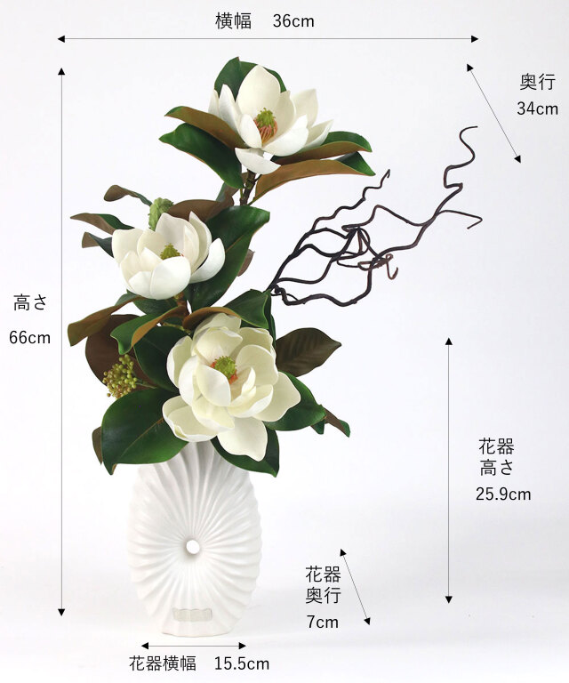 セントメアリー2L25-b