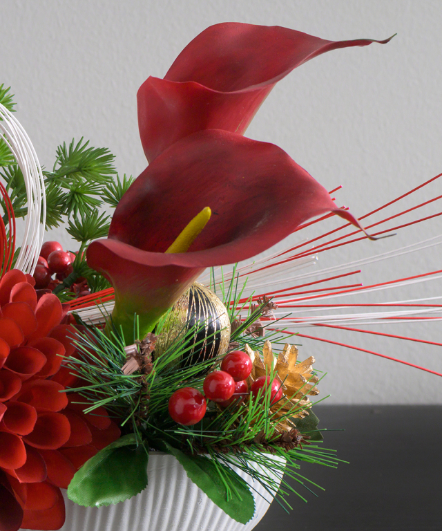 迎春ダリアM25rd