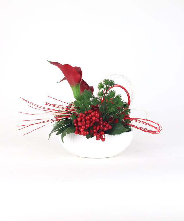 迎春ダリアM25rd