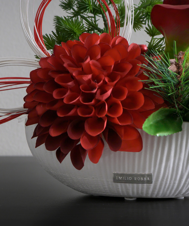 ダリア（感謝） 𝒓𝒆𝒍𝒂𝒙𓂃🥕𓈒◌ いないいない🫣 ばぁ🤗 かくれんぼ してるみたいな