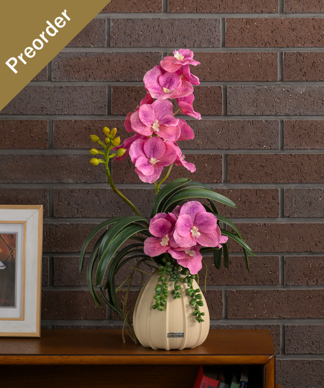 【先行予約】バンダボタニックL25pk-a