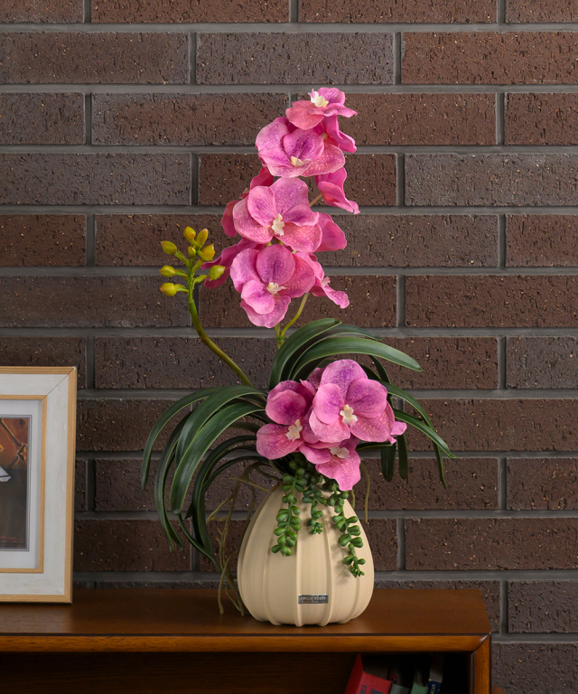 バンダボタニックL25pk-a