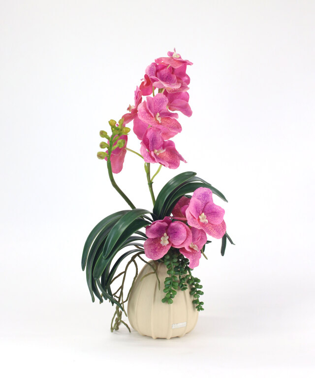 バンダボタニックL25pk-a