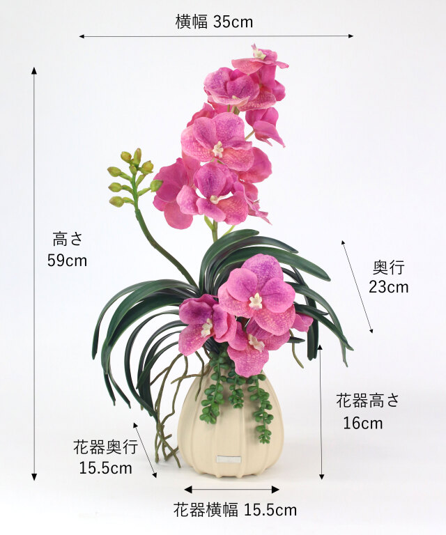 バンダボタニックL25pk-a