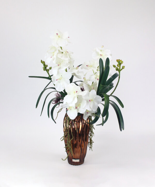 バンダボタニック2L25wh