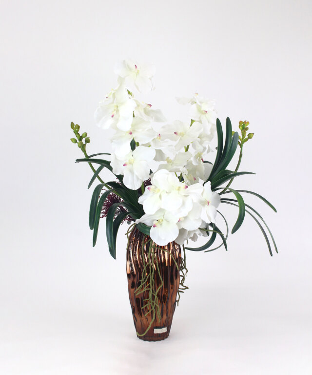 バンダボタニック2L25wh