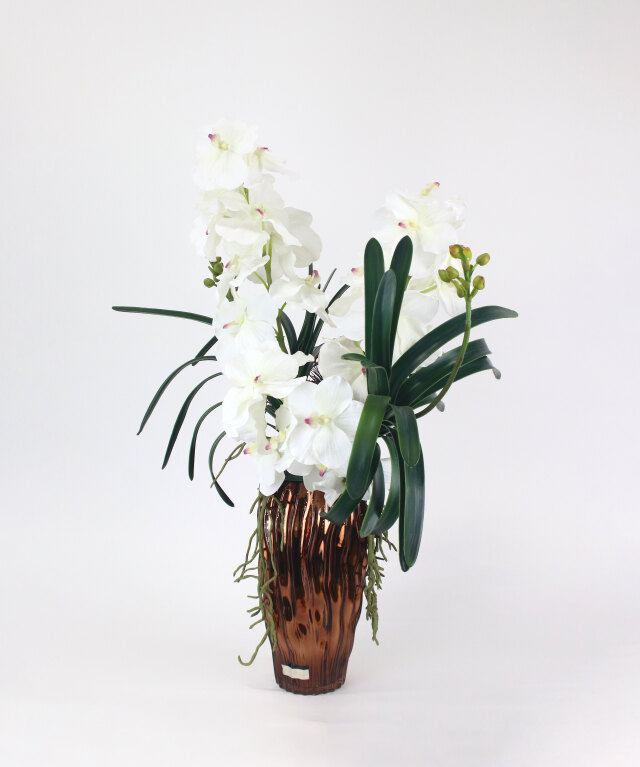 バンダボタニック2L25wh