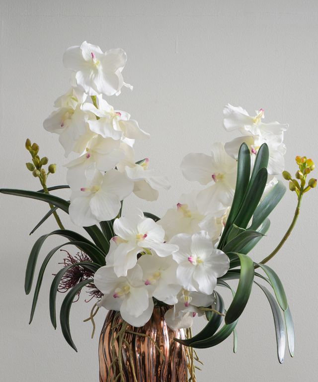 バンダボタニック2L25wh