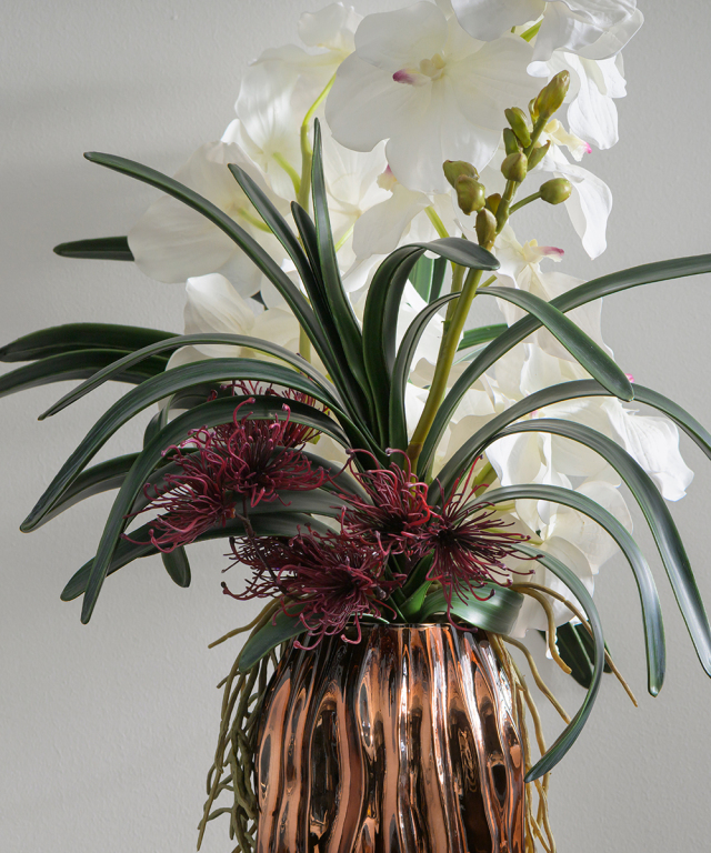 バンダボタニック2L25wh