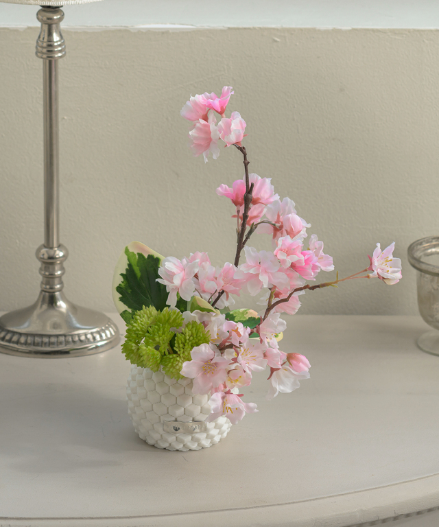 【先行予約】サクラS26