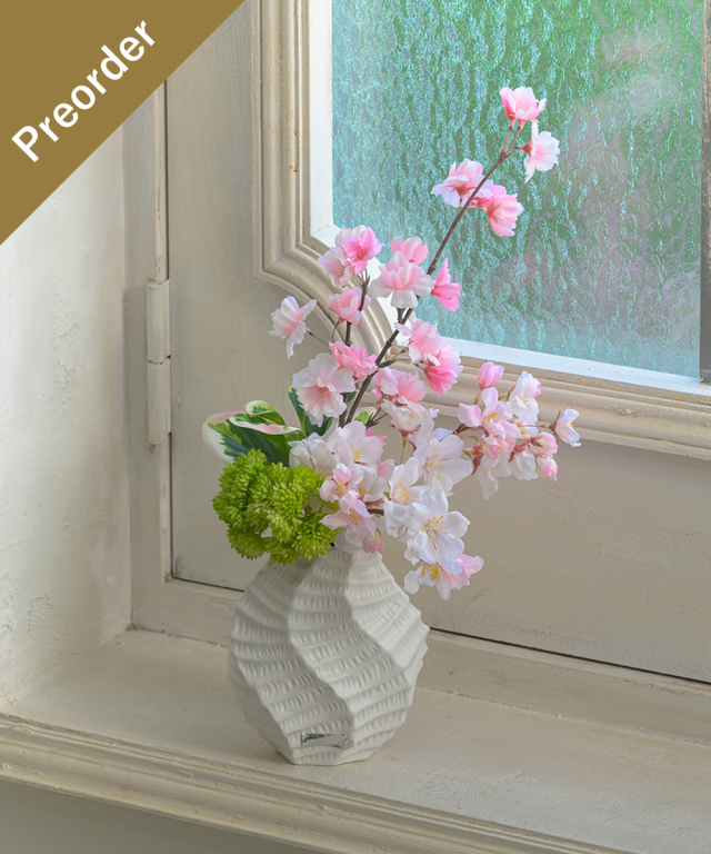 【先行予約】サクラM26