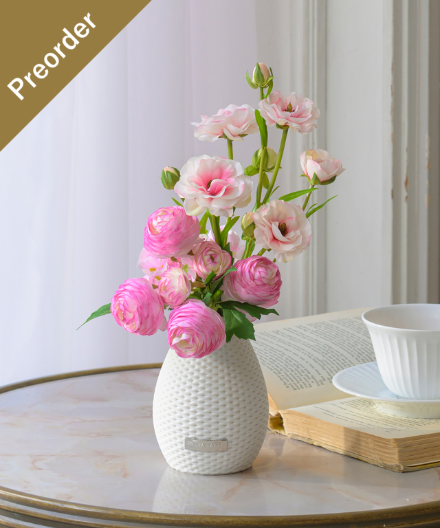 【先行予約】ラナンキュラス2M26-pk