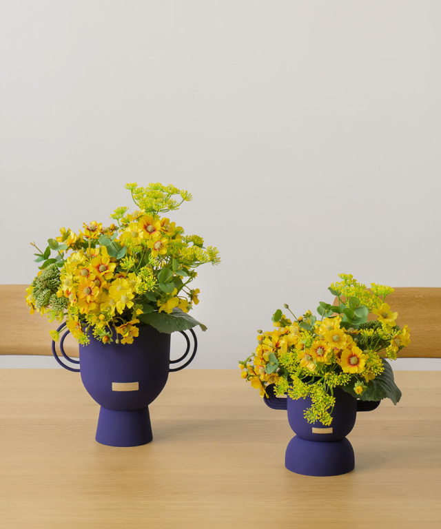 コレオプシスL25