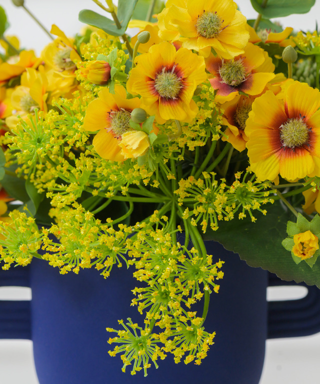 コレオプシスL25