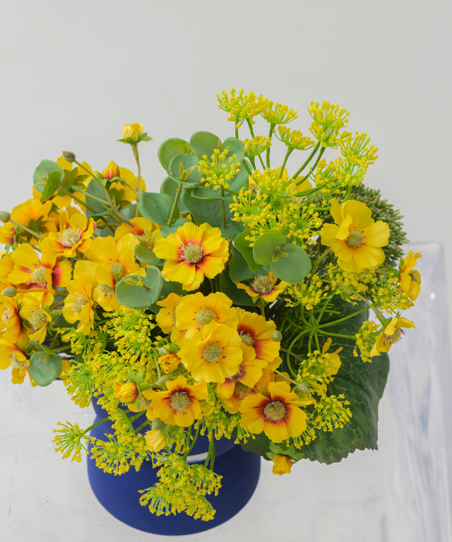 コレオプシスL25