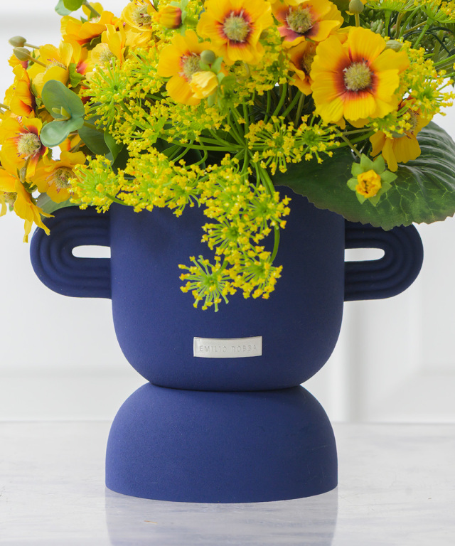 コレオプシスL25