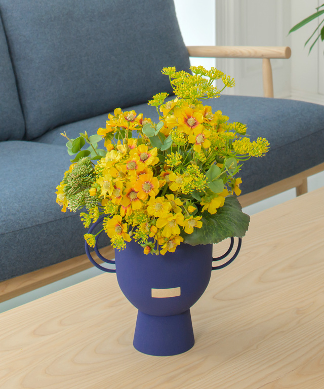 コレオプシス2L25