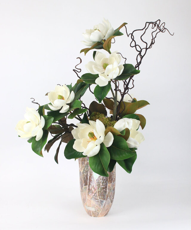 セントメアリーXL25