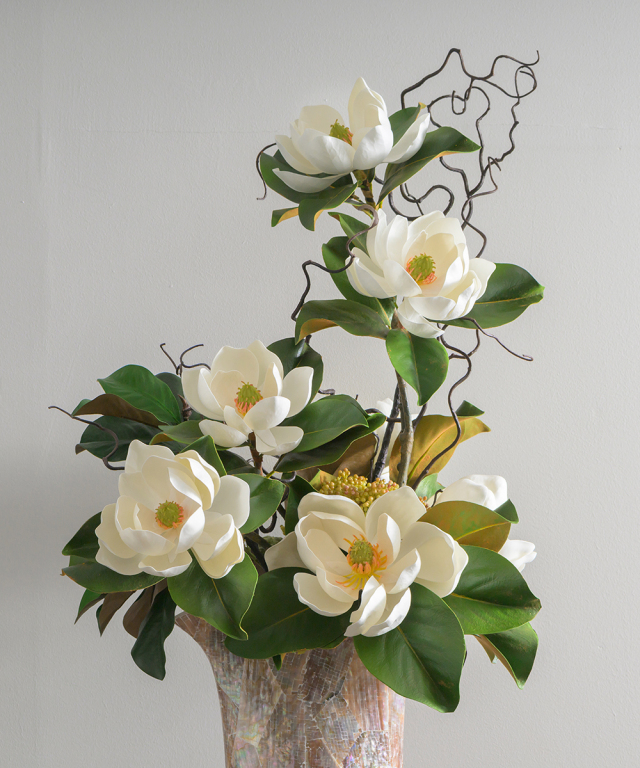 セントメアリーXL25