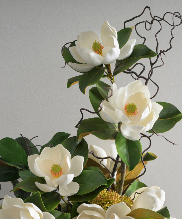 セントメアリーXL25