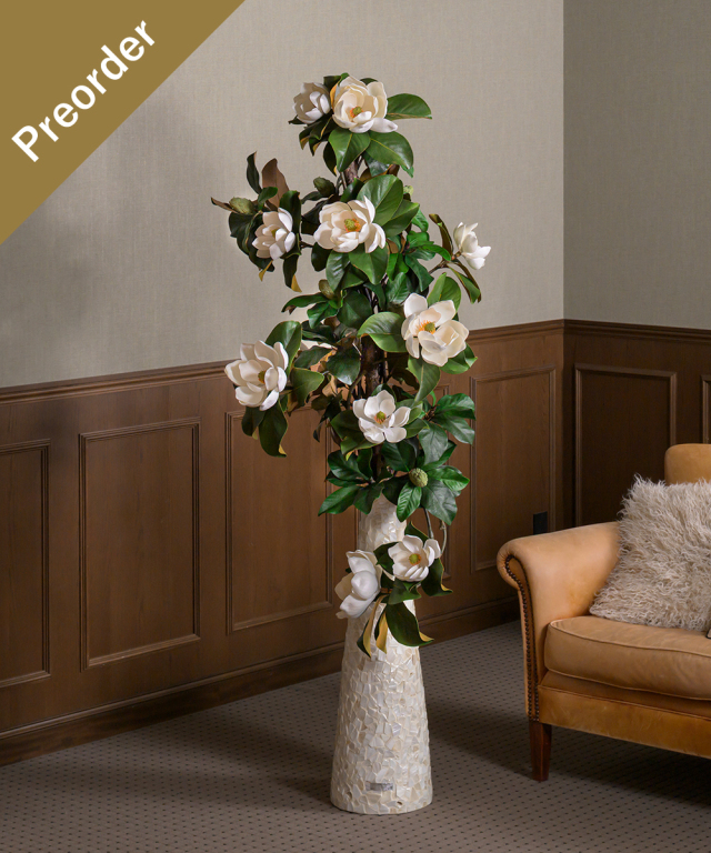 【先行予約】セントメアリー3XL25