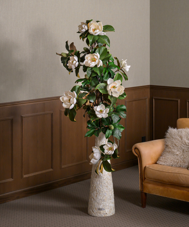 【先行予約】セントメアリー3XL25