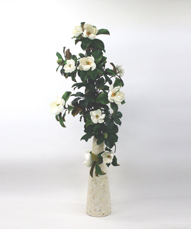 セントメアリー3XL25