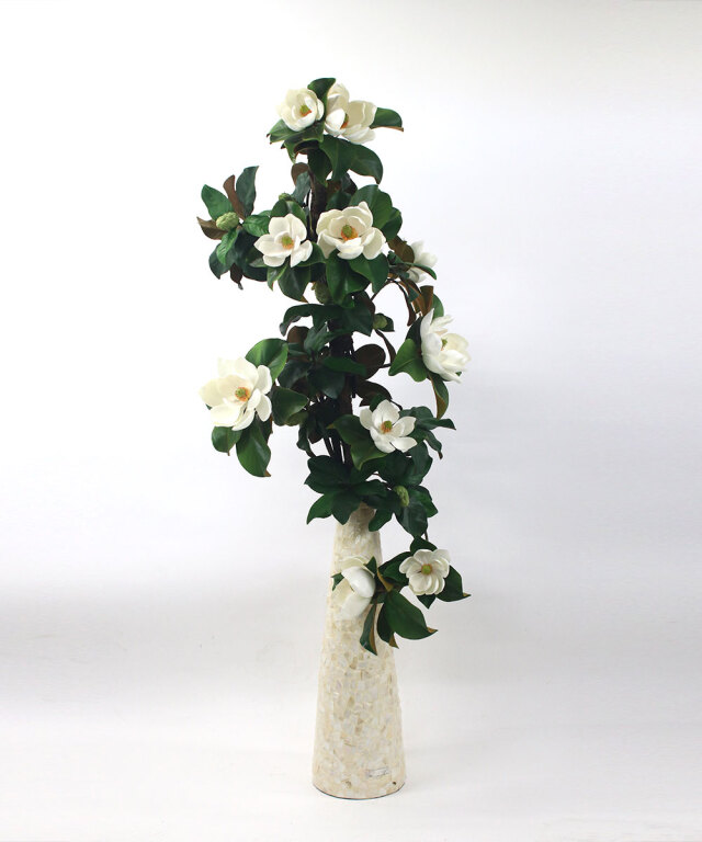 セントメアリー3XL25