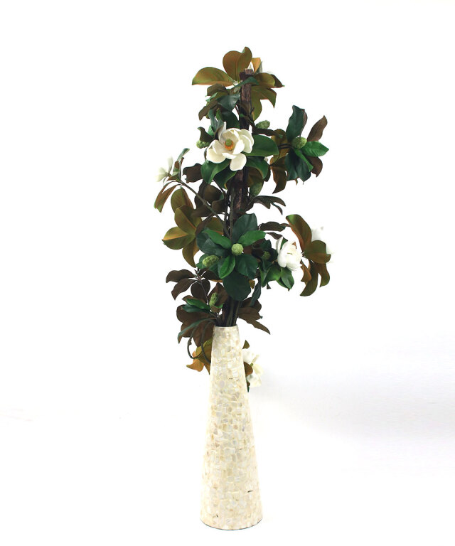 セントメアリー3XL25