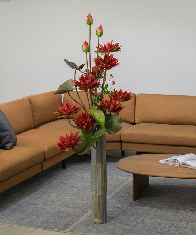 ロータス2XL25-rd