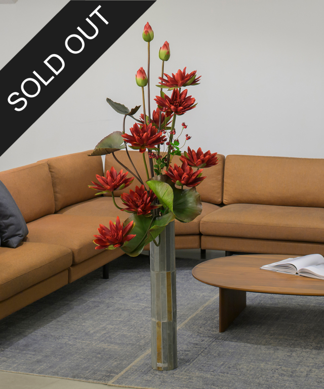 ロータス2XL25-rd