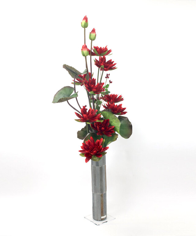 ロータス2XL25-rd