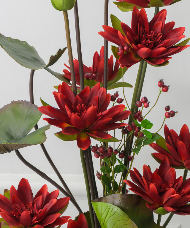 ロータス2XL25-rd