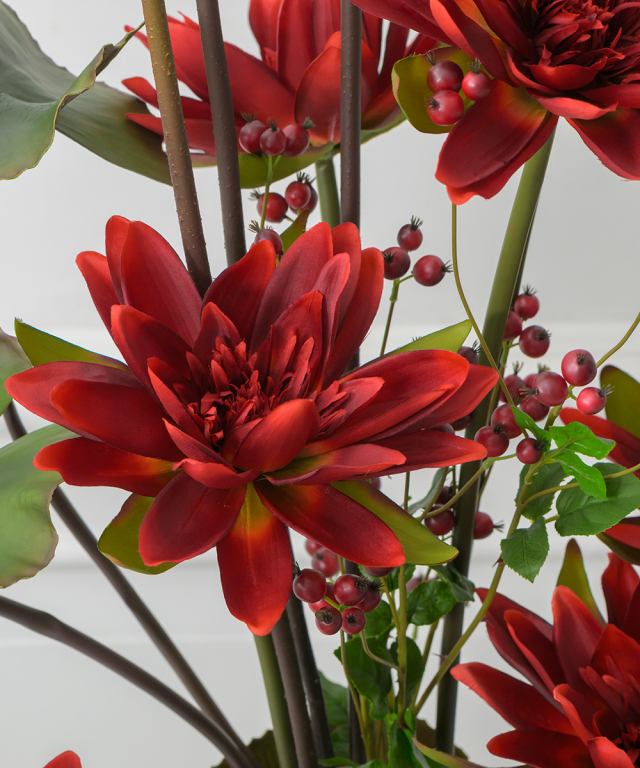 ロータス2XL25-rd