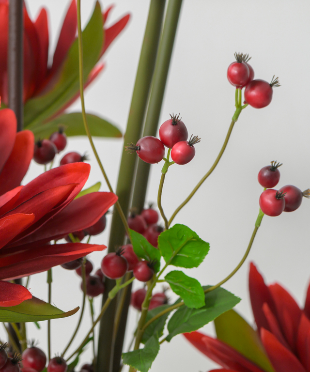 ロータス2XL25-rd