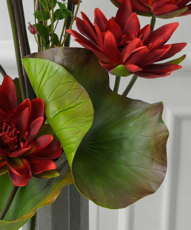 ロータス2XL25-rd