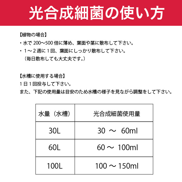 光合成細菌培基2L 10本 光合成細菌 | 静楽庵