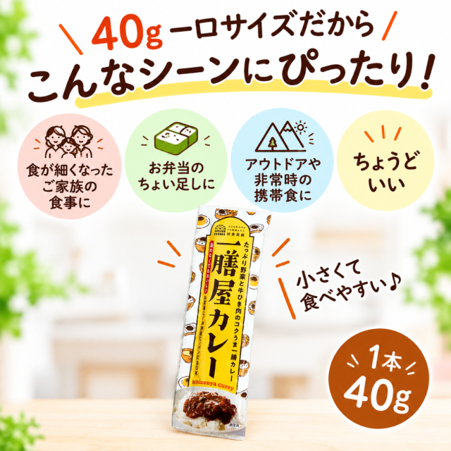 一膳屋カレー40g